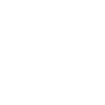 Accessible icon